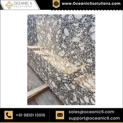 Platinum White Natural Stone Granite Cut to Size Thick Slabs Countertops for Indian Granite Buyers