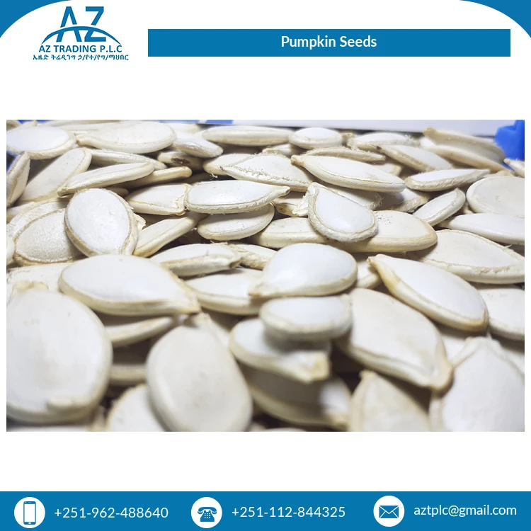 2022 Top Selling White Shine Color Skin Raw Origin High Quality Pumpkin Seeds at Least Price