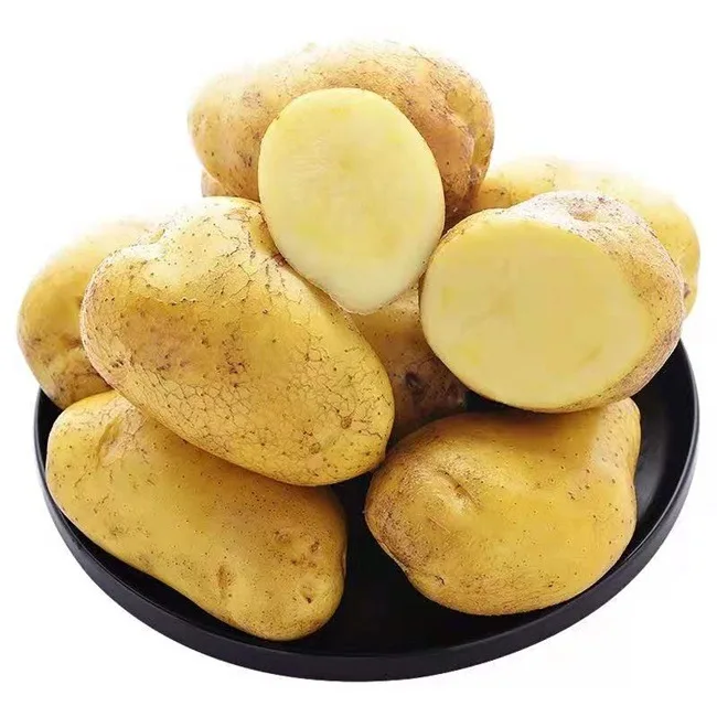 100% натуральный свежий освежающий и вкусный органический картофель премиум-класса на продажу