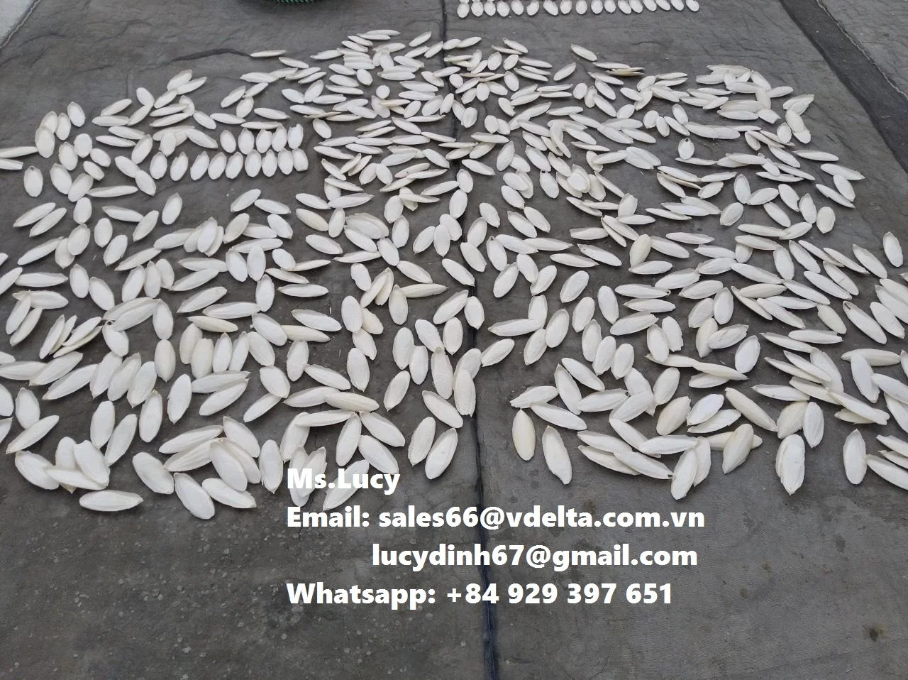 Кости с высоким содержанием кальция для птиц корма животных лучшая еда домашних Ms. Люси + 84 929 397 651