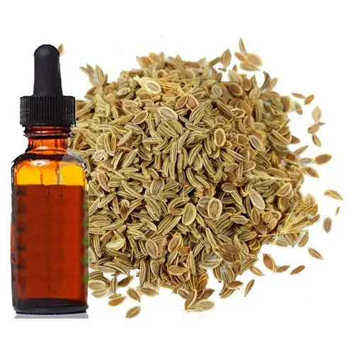 Premium Quality Organic Celery Seed Oil For Soothing Digestive Issues Fully Pure Oils Wholesale Suppliers