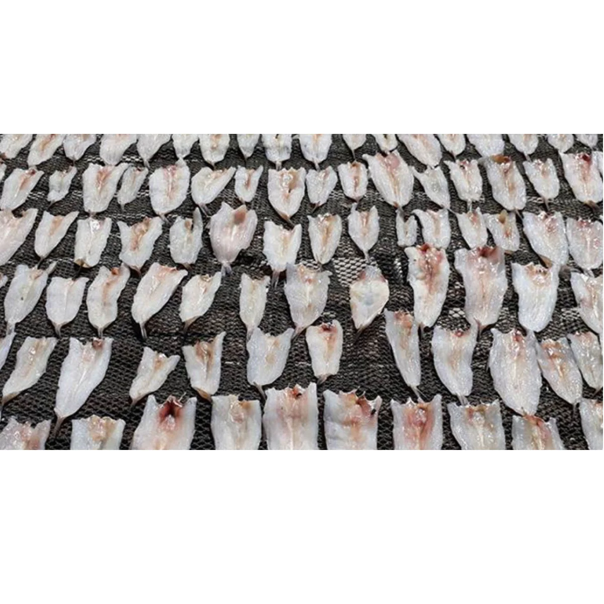 Best Price Natural Frozen Fresh Raw Fish Seafood Body Part Dried Lizard Fish With Air-Dried Processing From Vietnam