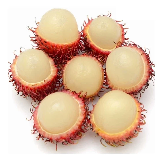 Premium Quality Fresh Rambutan Rambutan Export 100% Fresh Tropical Fruit Best Price High Quality made in Vietnam