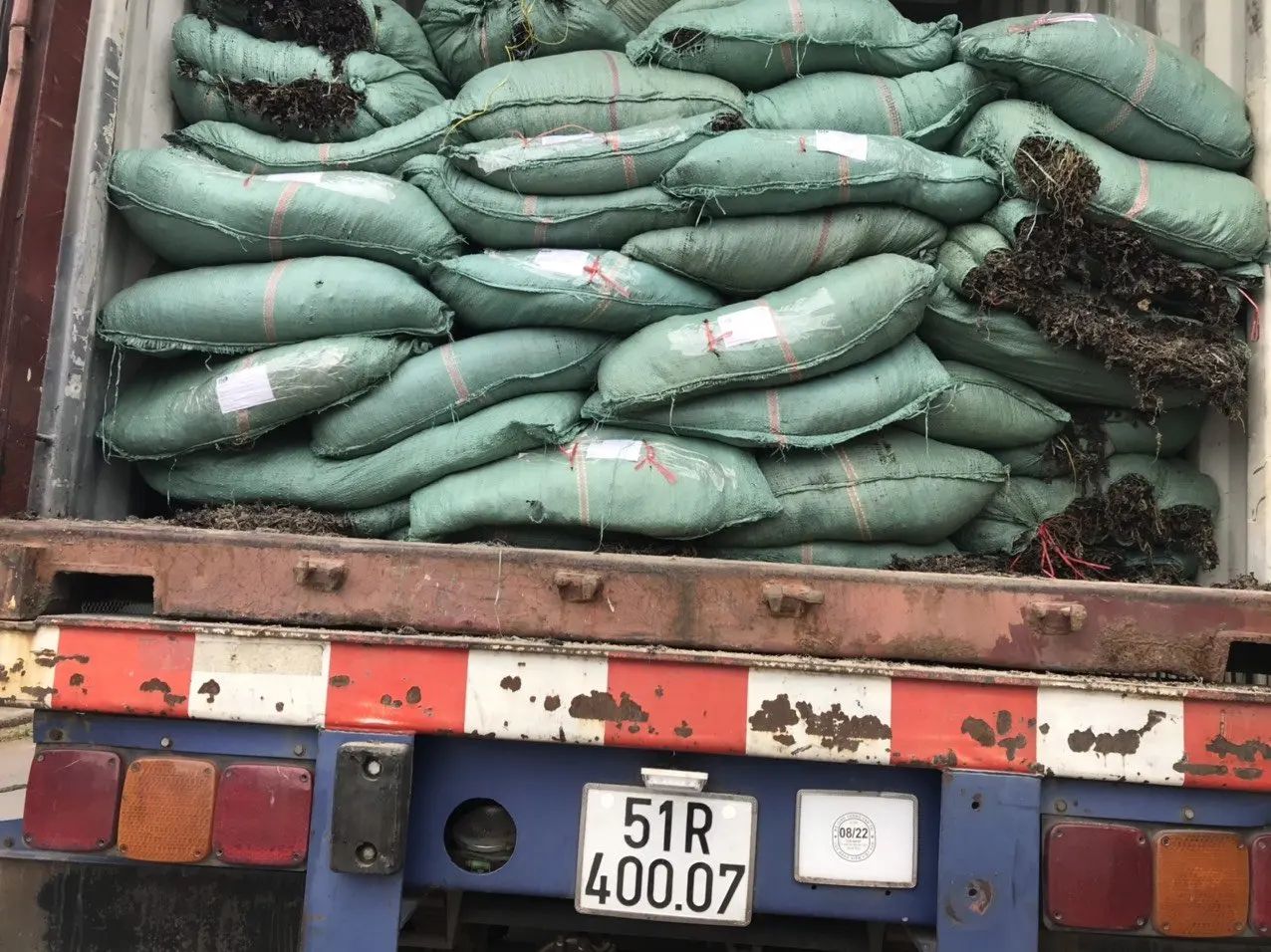 Сушеные на солнце морские водоросли из Вьетнама по лучшей цене WhatsApp или Wechat: + 84383874313 мистер Фат