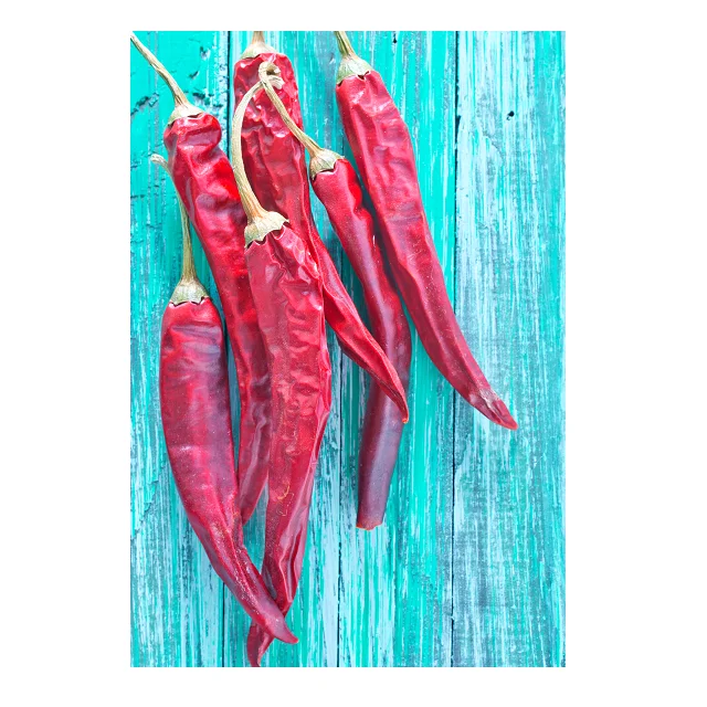 
Premium Quality Spices Red Chilli In Wholesale Price 