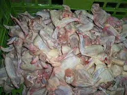 Brazil Grade A Frozen Chicken feet and chicken paws