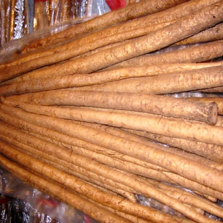 Golden Burdock 14.jpg