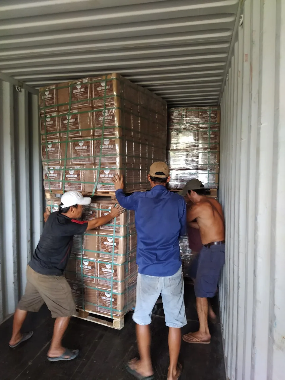  100% натуральный торфяной блок кокоса питательный кокосовый торф кирпич из Вьетнама // Рейчел: + 84896436456