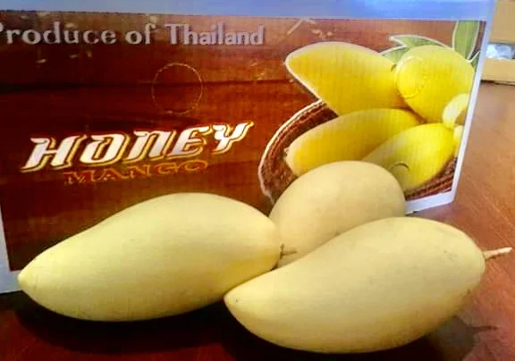 
Wholesale EWC Brand Thailand Fresh Gold Honey Namdokmai Mango GMG006 For Sale 