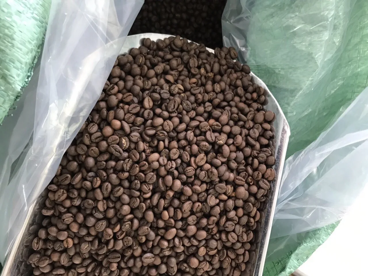 
BEST QUALITY OF ROASTED WHOLE COFFEE BEANS CHEAP PRICE (ARABICA/ ROBUSTA) +84905010988 
