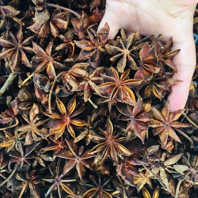 Вьетнамский сушеный анис Star Aniseed весенний высокое качество Лучшая цена