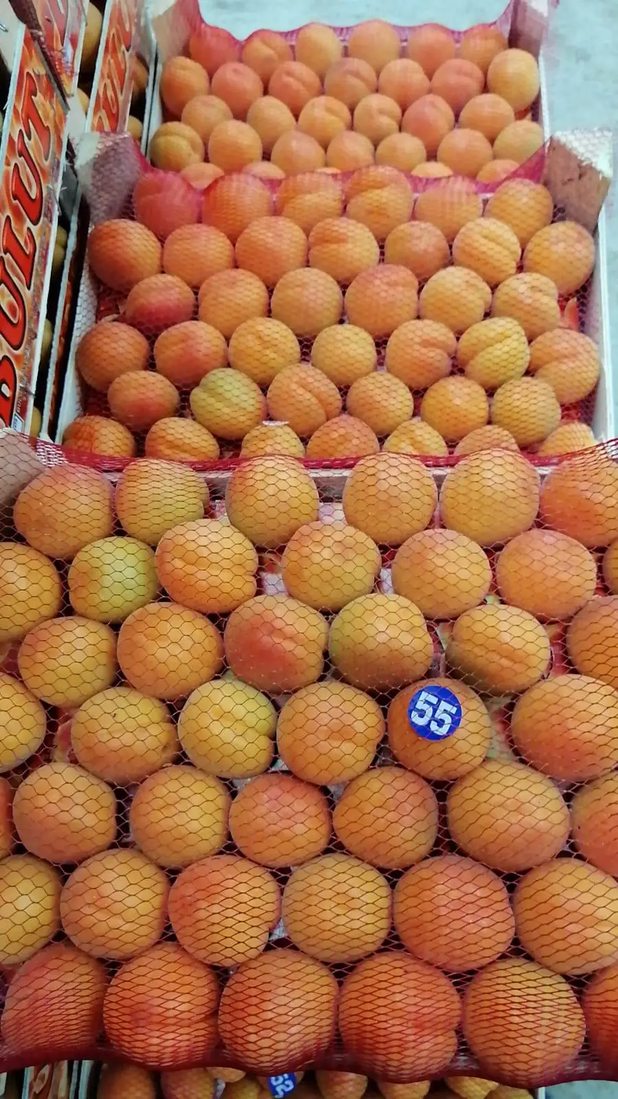 
HIGH QUALITY - FRESH APRICOTS - FROM TURKEY 