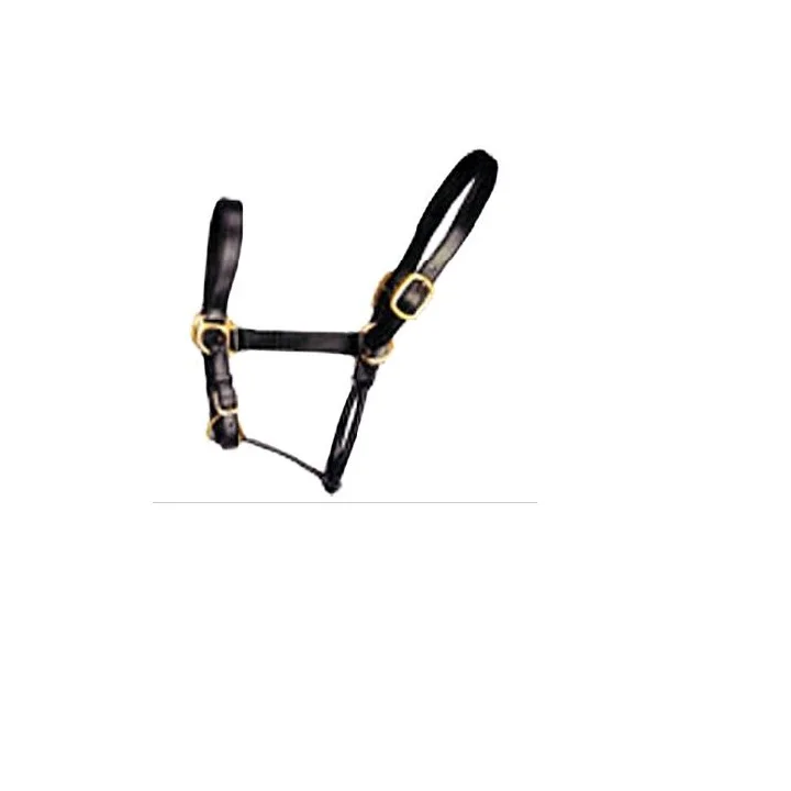 New Fancy Silver Clincher Padded Head Collar