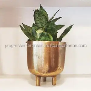 Luxury stylish Flower Pots and Planters wholesale price