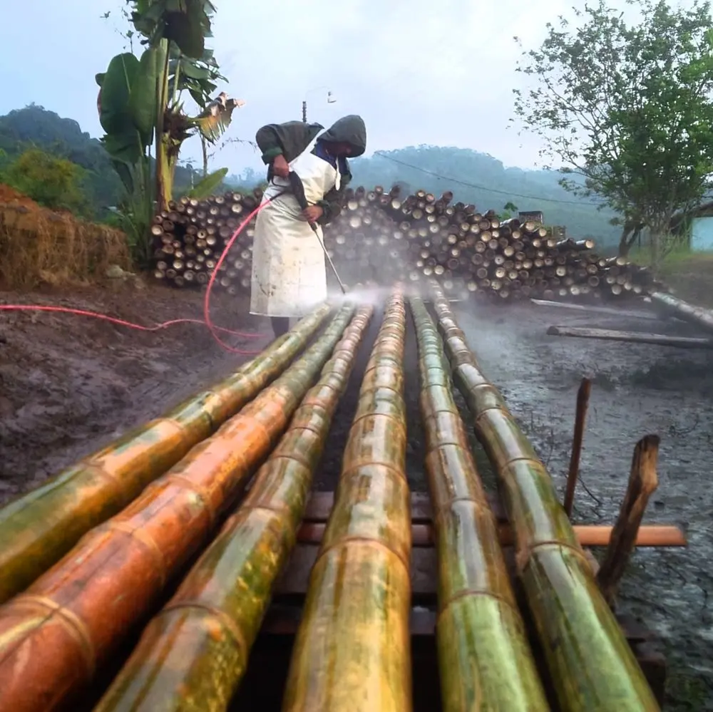 Высококачественные дешевые сухие натуральные прямые необработанные зеленые садовые бамбуковые стойки Tonkin/трости/стойки/палочки для продажи