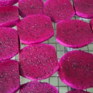 Best quality Packing Customization IQF Frozen Red Dragon Global Gap US Standard Red Dragon Fruit Ready to Export from Vietnam