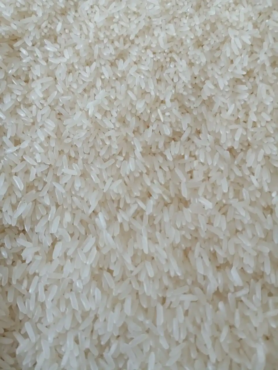  РИС ST 25 высококачественный рис