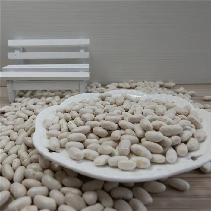 CHEAP SUGAR BEANS
