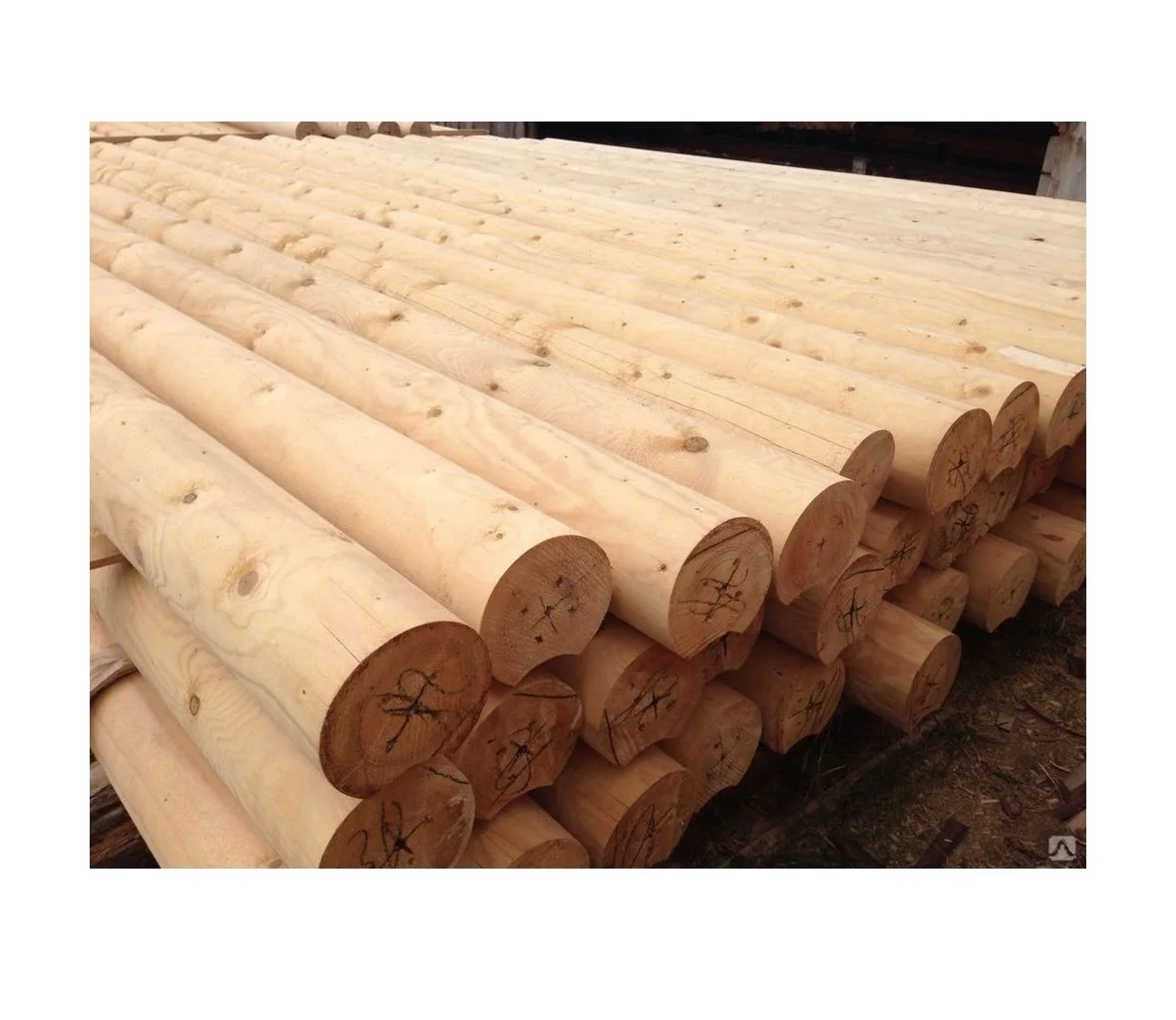 Great quality timber raw materials wooden rounded logs