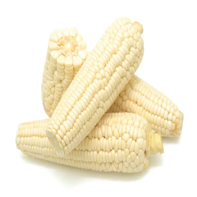 
High Quality White Sweet Corn 