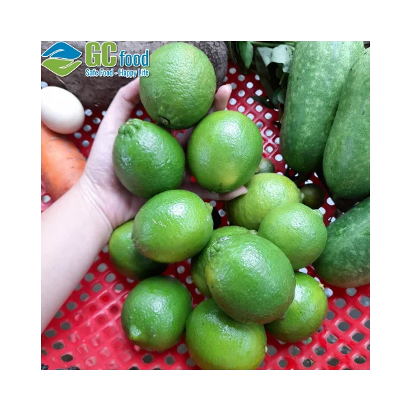 Viet Nam Fresh Seedless Lemon - Organic Fresh Lemon - Lemon Squeezer - Citrus Lime fruit Vietnam Healthy Nutritious Fresh