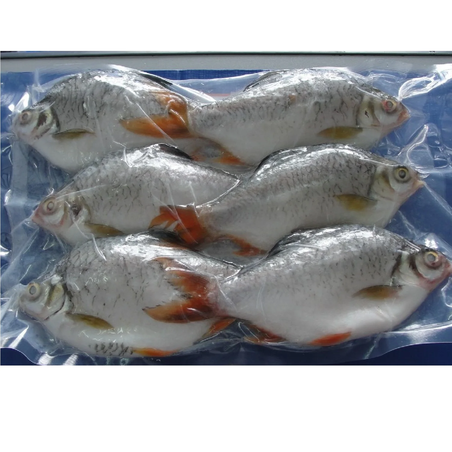 Цельная филе замороженный Срок годности 12 месяцев из вьетнамской фольги