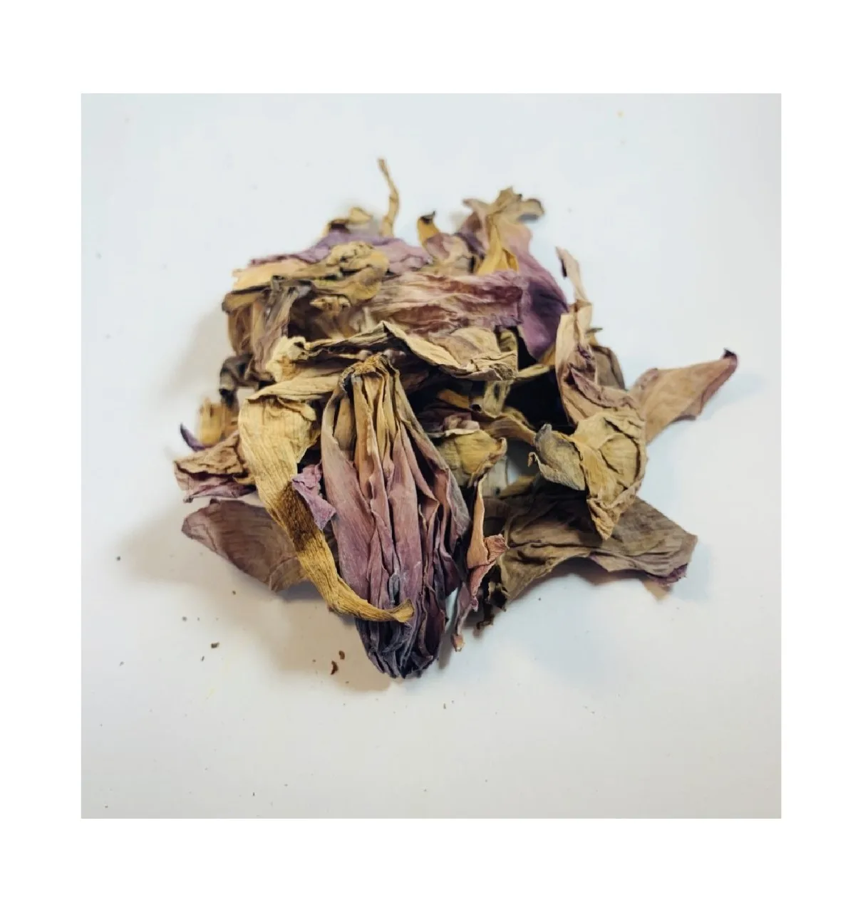 VIETNAM DRIED LOTUS FLOWER for TEA HERB