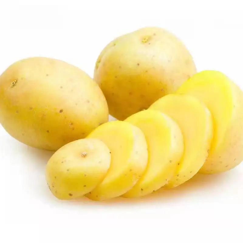Quality Fresh Potato From Pakistan White Potato / Red Potatoes