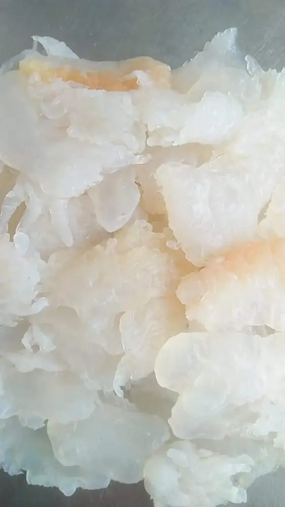 Salted Jellyfish Jellyfish Salad WHATSAPP + 0084 845 639 639