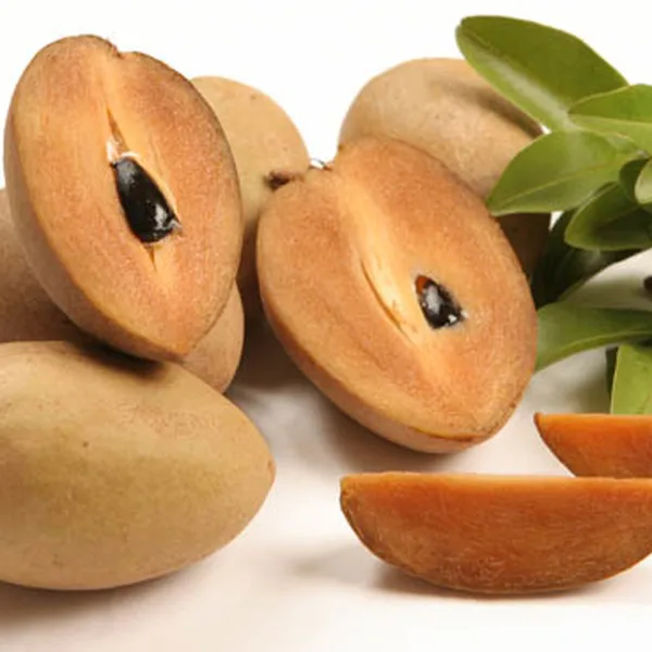 AYAME Fresh Sapodilla Sweet Fruit  From Thailand