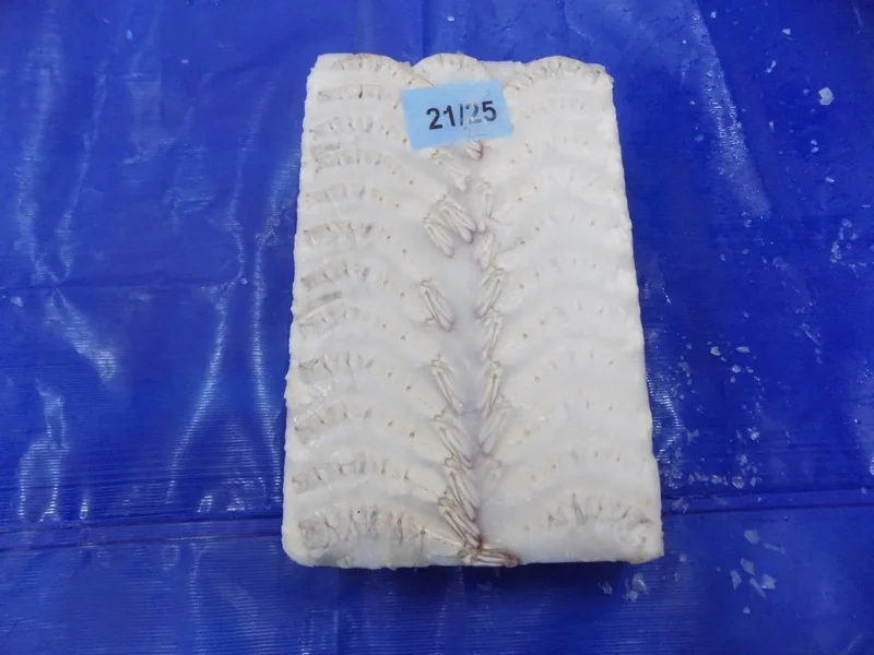 HLSO Frozen Vannamei Shrimps