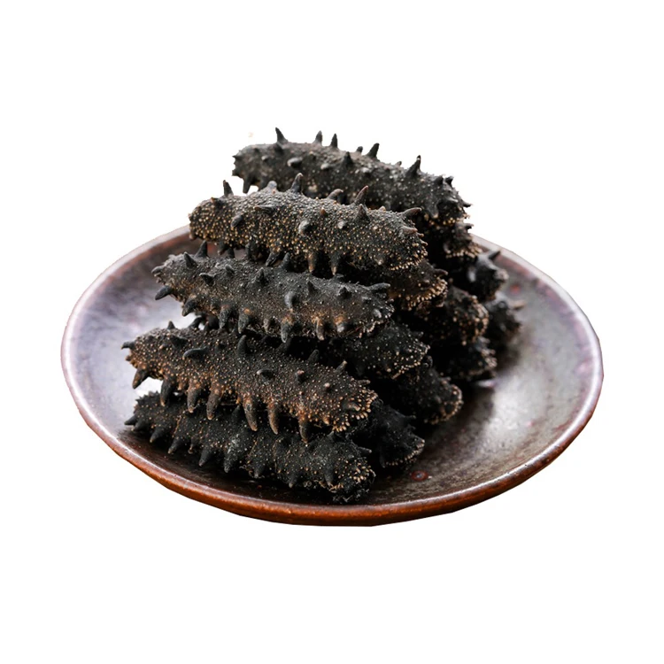 High Quality Dried and Frozen Bald Sea Cucumber, Natural Wholesaler Sea Cucumber (10000005061510)