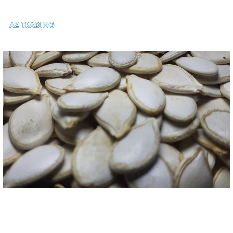2022 Top Selling White Shine Color Skin Raw Origin High Quality Pumpkin Seeds at Least Price