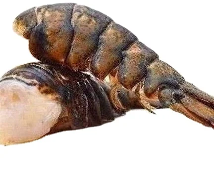  Lobster FROZEN LOBSTER TAIL / FRESH LIVE Cold water Fresh ALIVE crayfish