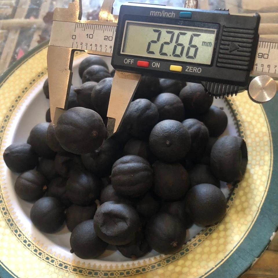100% natural high quality dried lemon for good price jumbo size -medium small