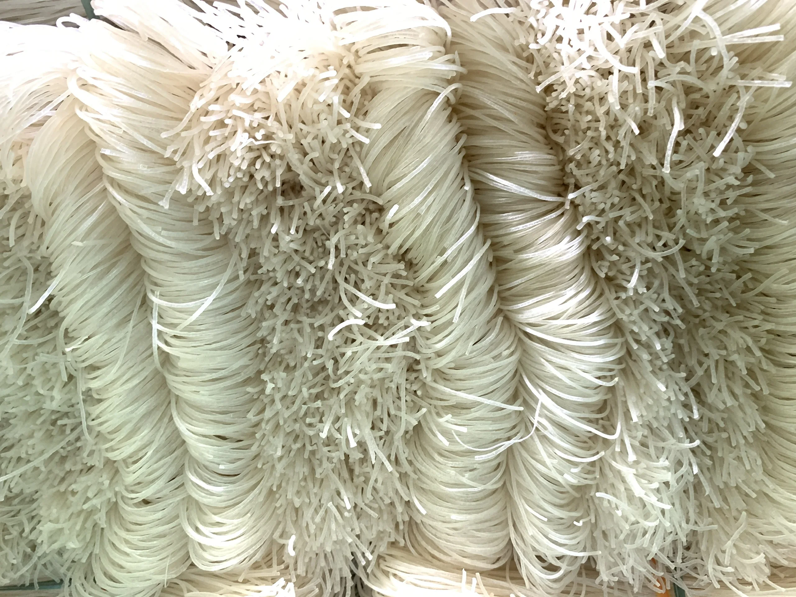 Vietnamese Rice Vermicelli