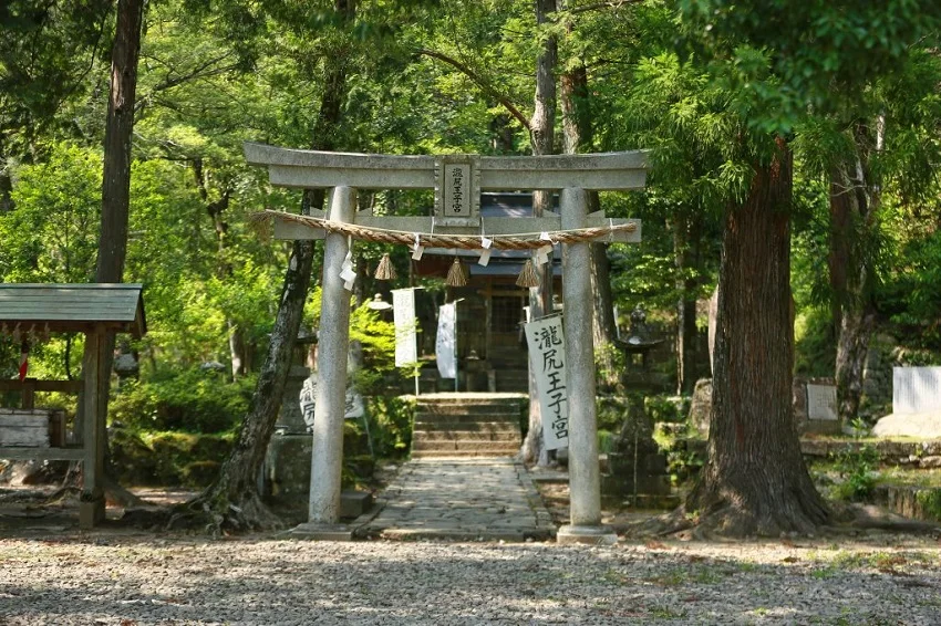 OEM Japanese whisky whisky bottle with  label local alcoholic beverage