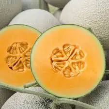 Высококачественная вьетнамская канталупа/Whatsapp: + 84 896679047