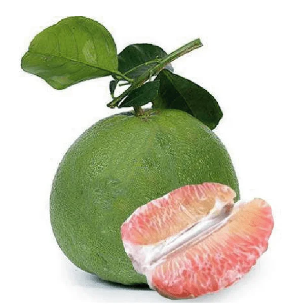 Зеленая кожа грейпфрут свежие фрукты питание витамин хорошая цена низкий минимальный заказ упаковка вкусные горячие продажи от вьетнамского бренда