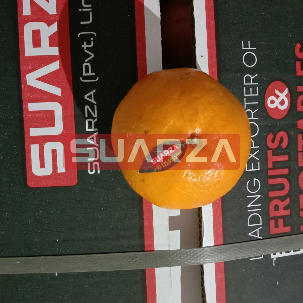 Best Sale High Quality Competitive Price Orange