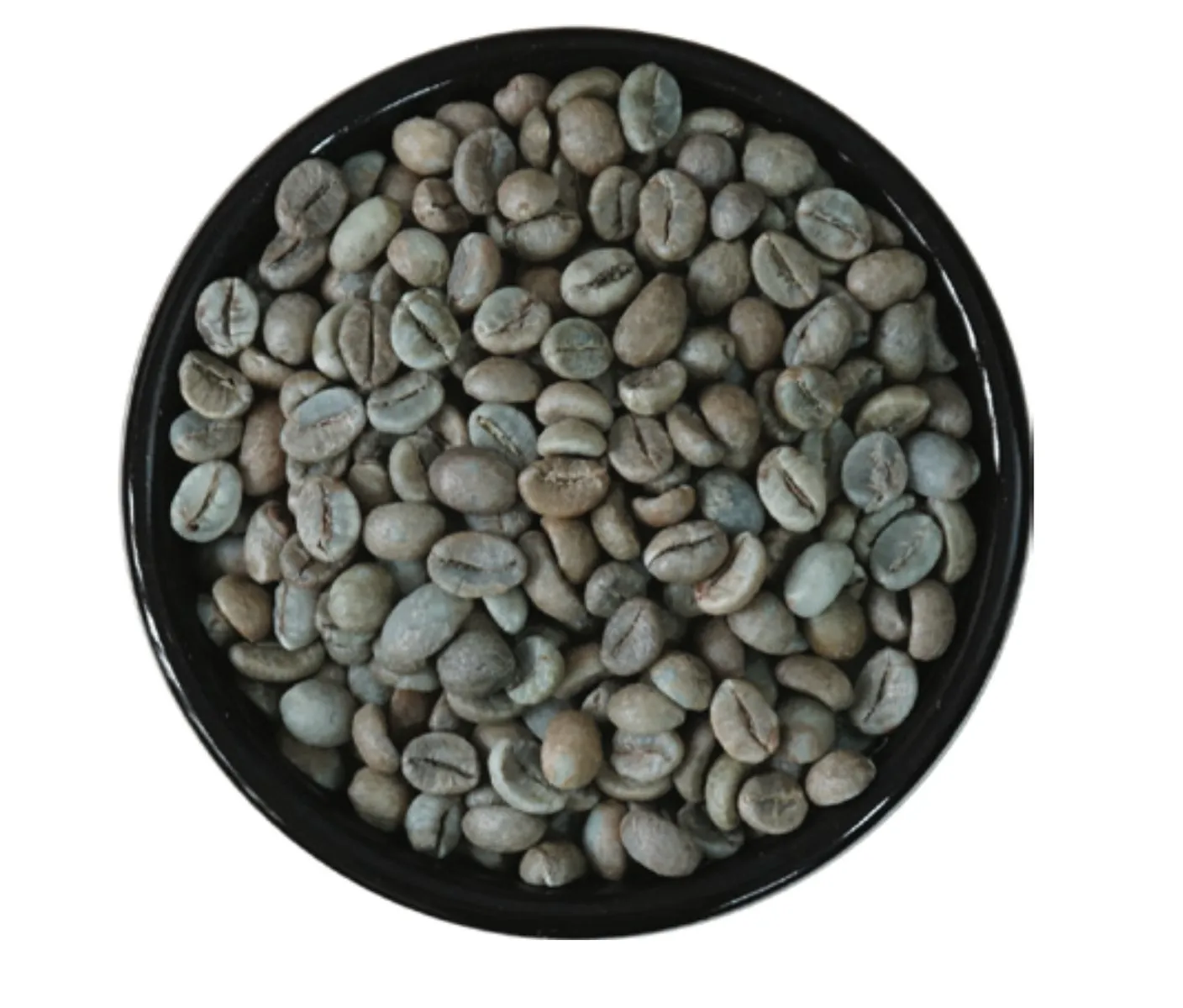 New Season 2021 Robusta Honey Coffee S18 - Robusta Coffee Bean Vietnam