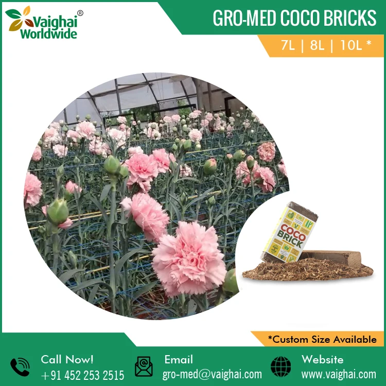 Coco Coir Peat Bricks | Perfectly suited To Grow Fruit Plants Herbs And Succulents