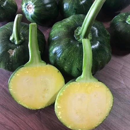 
FRESH RED PUMPKINS YOUNG PUMPKINS BABY PUMPKINS 