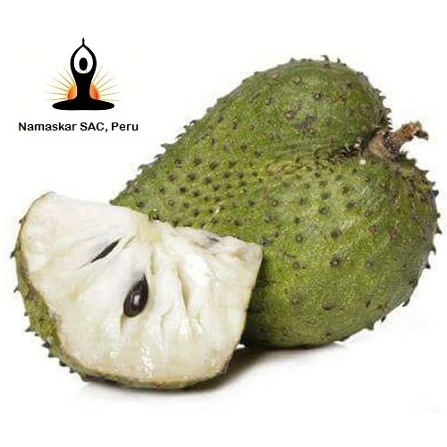 Graviola powder / Soursop powder/ Graviola capsules