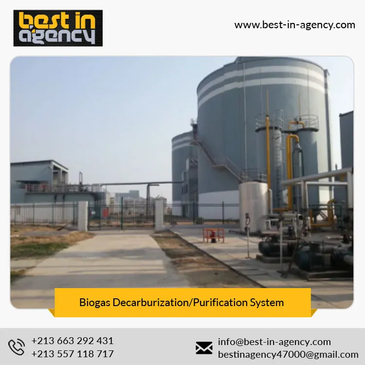 2*5, 000 Cubic Meters Nm3 Carbon Removal Biogas Upgrading/Decarburization/Purification System
