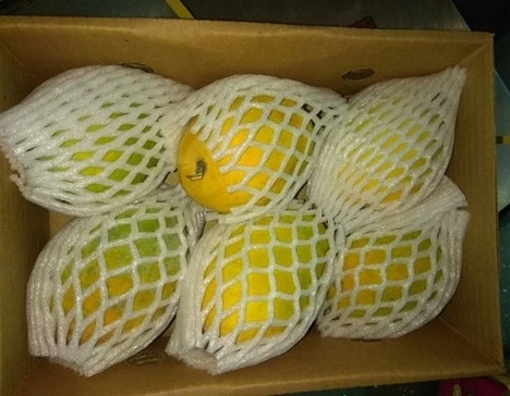 First Class MANGO Best Crop