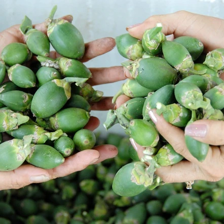 Полностью расправленные Сушеные Орехи/орехи арекса, сделанные во Вьетнаме // Jolene + 84 336089155