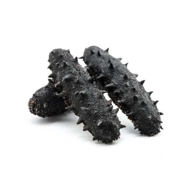 High Quality Sea Cucumber Dried For Best Priced