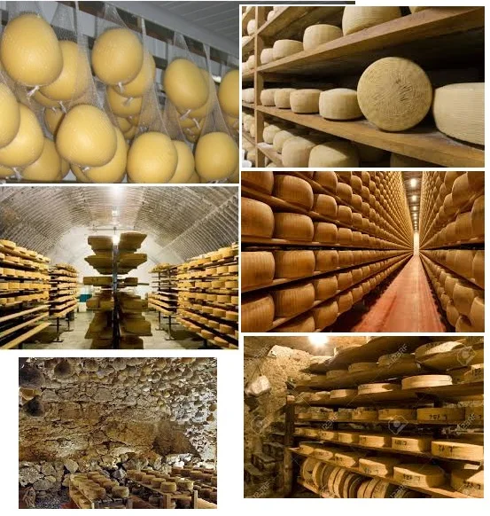 Made in Italy Food , cheeses , sheep cheese , with spicy