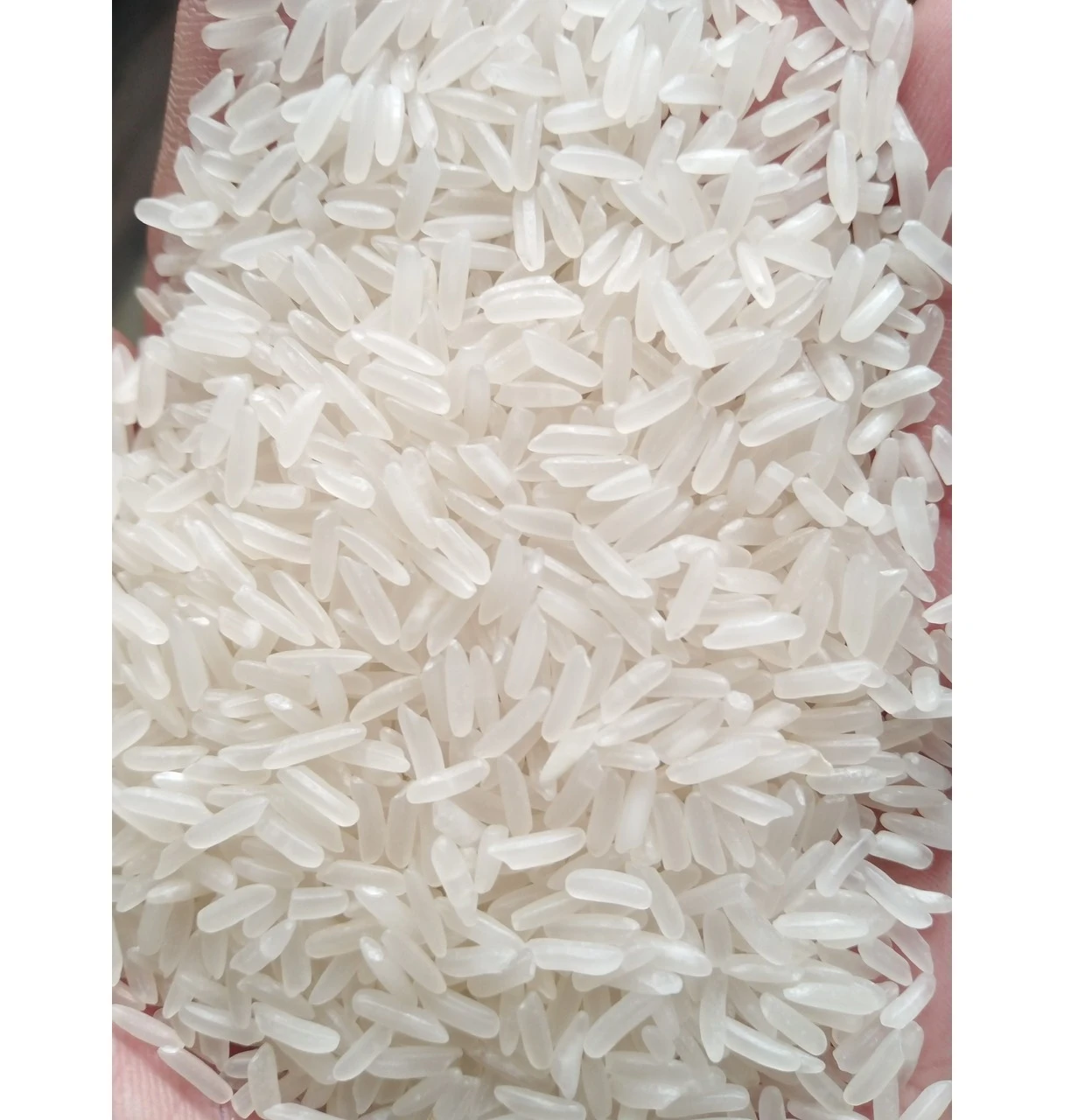 Best Selling Made in Viet Nam Jasmine Rice 5% Broken with Soft Texture and Perfume Sweet Kind 100% Natural